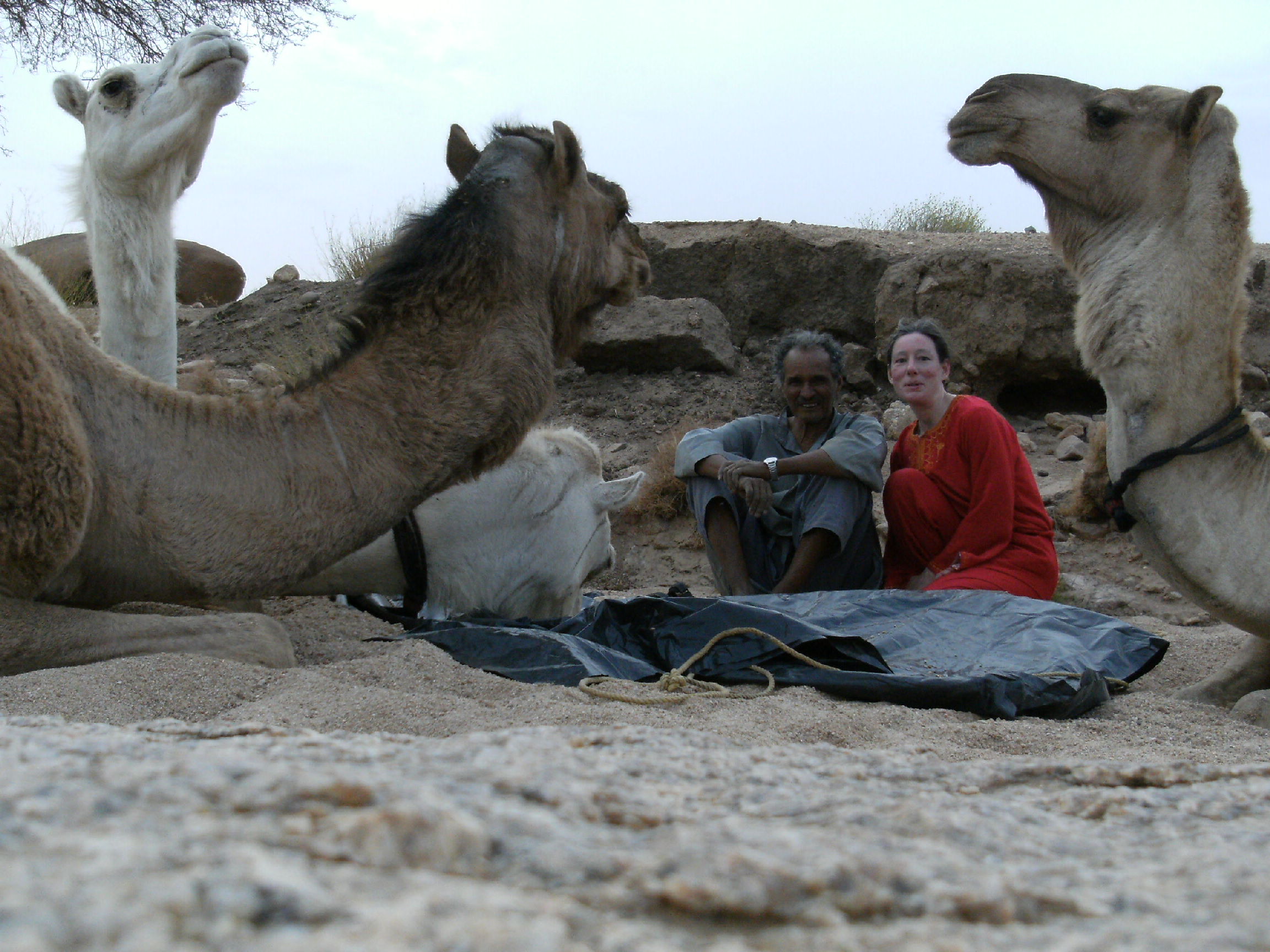 Sahara algérien avec mon ami touareg et nos 4 chameaux